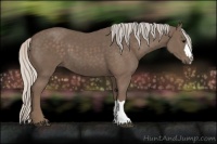 Horse Color:Silver Black 
