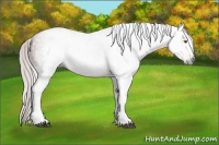 Horse Color:Gray Silver Black Pearl Tobiano 