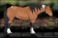 Horse Color:Bay Roan Tobiano 