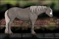 Horse Color:Silver Black 