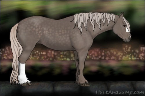 Horse Color:Silver Black 