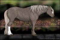 Horse Color:Silver Black 