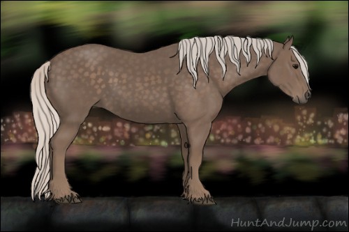 Horse Color:Silver Black