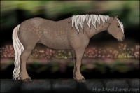 Horse Color:Silver Black 
