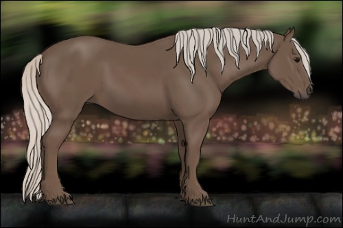Horse Color:Silver Black 
