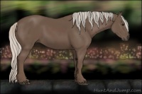 Horse Color:Silver Black 
