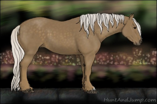 Horse Color:Silver Smoky Black 