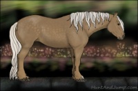 Horse Color:Silver Smoky Black 