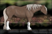 Horse Color:Silver Black 