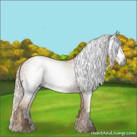 Horse Color:Gray Palomino 