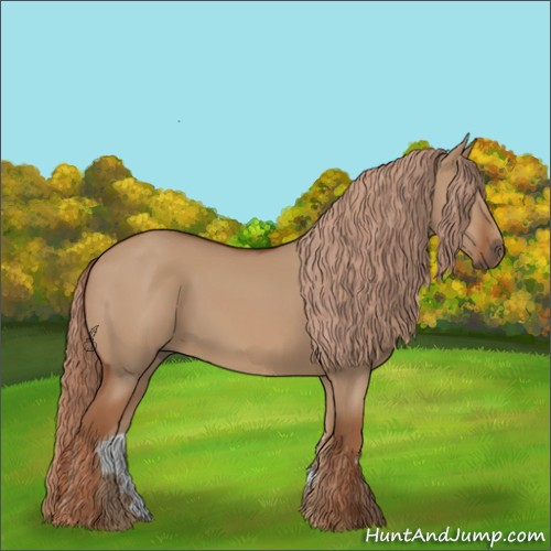 Horse Color:Red Dun 