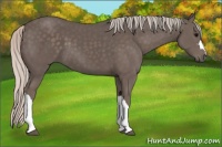 Horse Color:Silver Black 