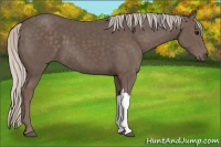Horse Color:Silver Black 