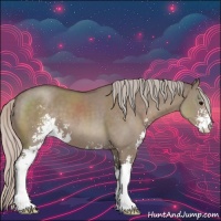 Horse Color:Silver Grullo Sabino 