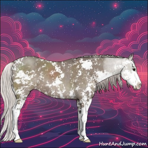 Horse Color:Silver Grullo Sabino