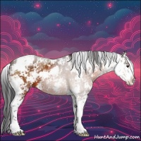 Horse Color:Brown Sabino 