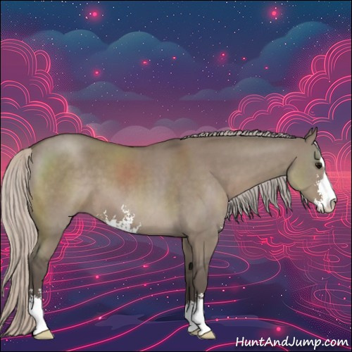 Horse Color:Silver Grullo Sabino 