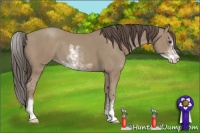 Horse Color:Classic Champagne Sabino 