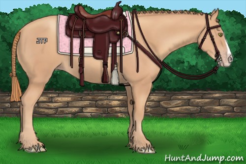 Horse Color:Gold Champagne Splash