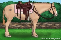 Horse Color:Gold Champagne Splash
