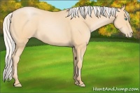 Horse Color:Silver Buckskin Pearl 