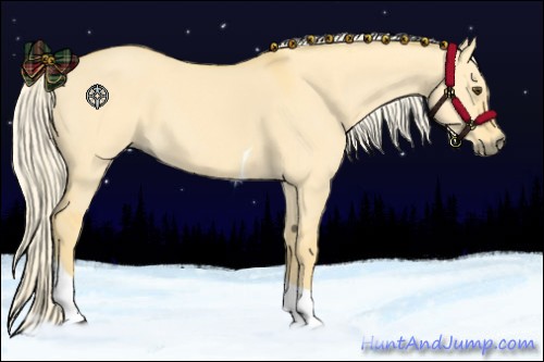 Horse Color:Palomino Dun Tobiano 