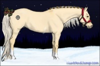 Horse Color:Palomino Dun Tobiano 