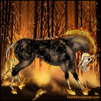 Horse Color:Void Bay Roan Dun Sabino Splash Appaloosa