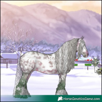 Horse Color:Watercolor White Spotted Silver Brown Ice Dun 