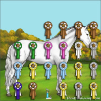 Horse Color:Liver Chestnut Mushroom Appaloosa