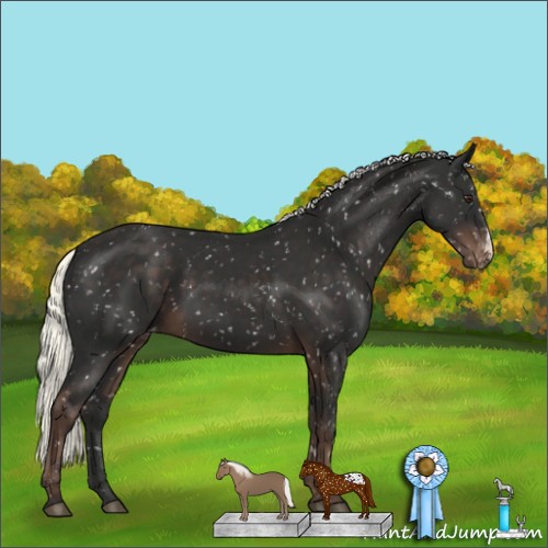 Horse Color:Liver Chestnut Mushroom Snowflake Varnish
