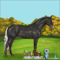 Horse Color:Liver Chestnut Mushroom Snowflake Varnish