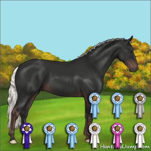 Horse Color:Liver Chestnut Mushroom