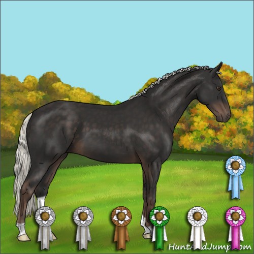 Horse Color:Liver Chestnut Mushroom 