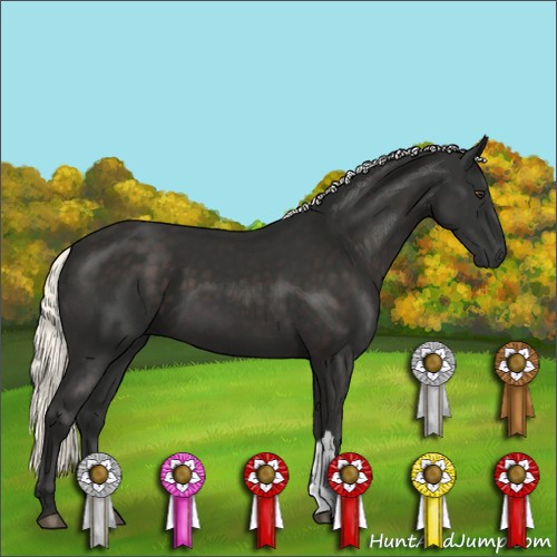 Horse Color:Liver Chestnut Mushroom 