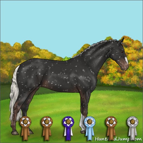 Horse Color:Liver Chestnut Mushroom Snowflake Varnish