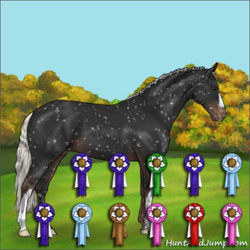 Horse Color:Liver Chestnut Mushroom Appaloosa