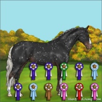Horse Color:Liver Chestnut Mushroom Snowflake Varnish 