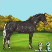 Horse Color:Liver Chestnut Mushroom Snowflake Varnish 