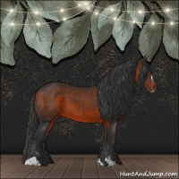 Horse Color:Brown Sabino