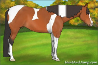 Horse Color:Bay Sabino Tobiano