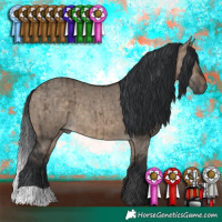 Horse Color:Brown Dun Brindle