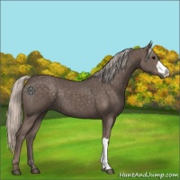 Horse Color:Silver Black 