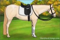 Horse Color:Smoky Black Pearl 