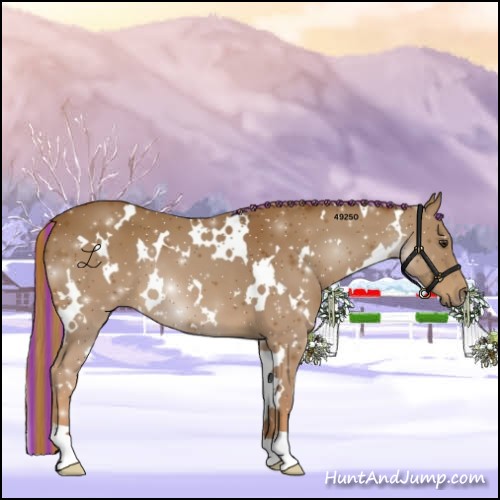 Horse Color:Painted White Spotted Chestnut 