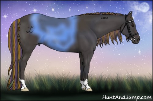 Horse Color:Painted Smoky Black