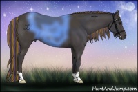 Horse Color:Painted Smoky Black