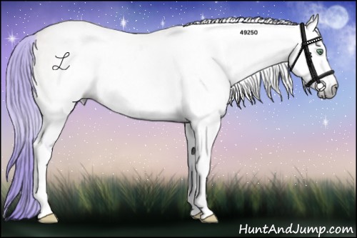 Horse Color:Gray Watercolor Perlino Onyx 