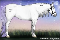 Horse Color:Gray Watercolor Perlino Onyx 