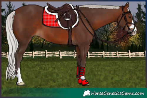 Horse Color:Silver Brown 